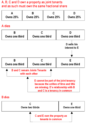 Title Vesting Chart