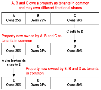 Title Vesting Chart